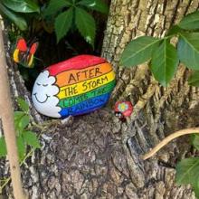 A painted rock along the trail